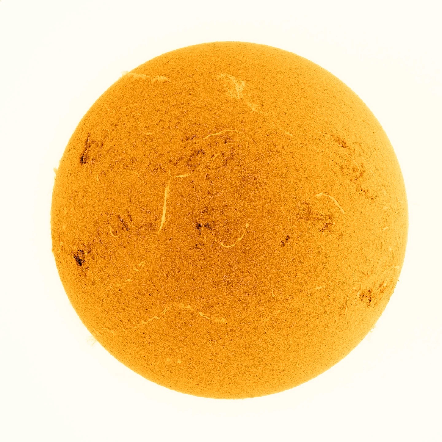 A fast moving solar prominence was churning away on the sun. This 1 ...
