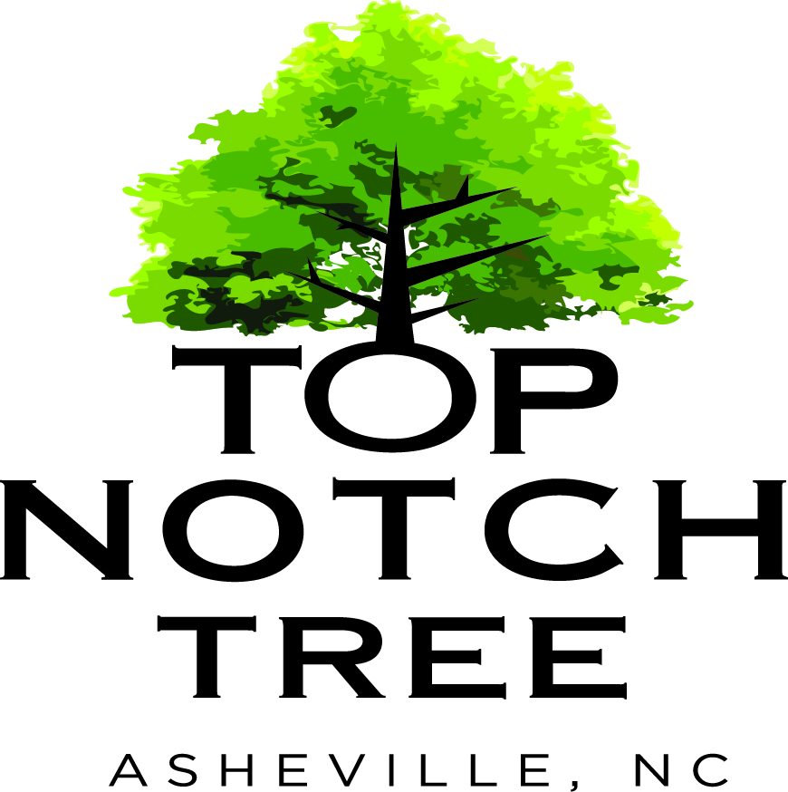 Top Notch Tree Care LLC