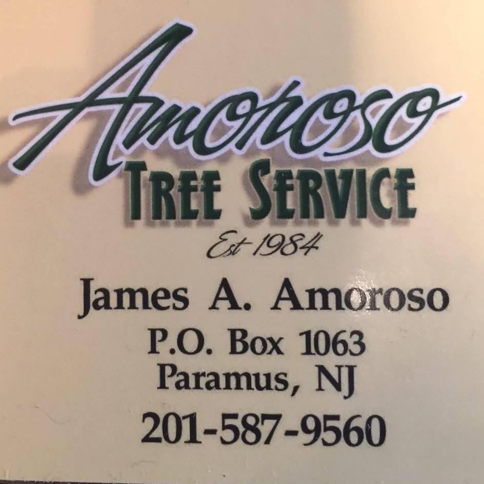 Amoroso Tree Service Inc | Paramus NJ