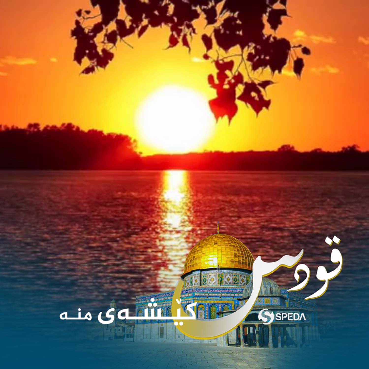 Hashm Manmy