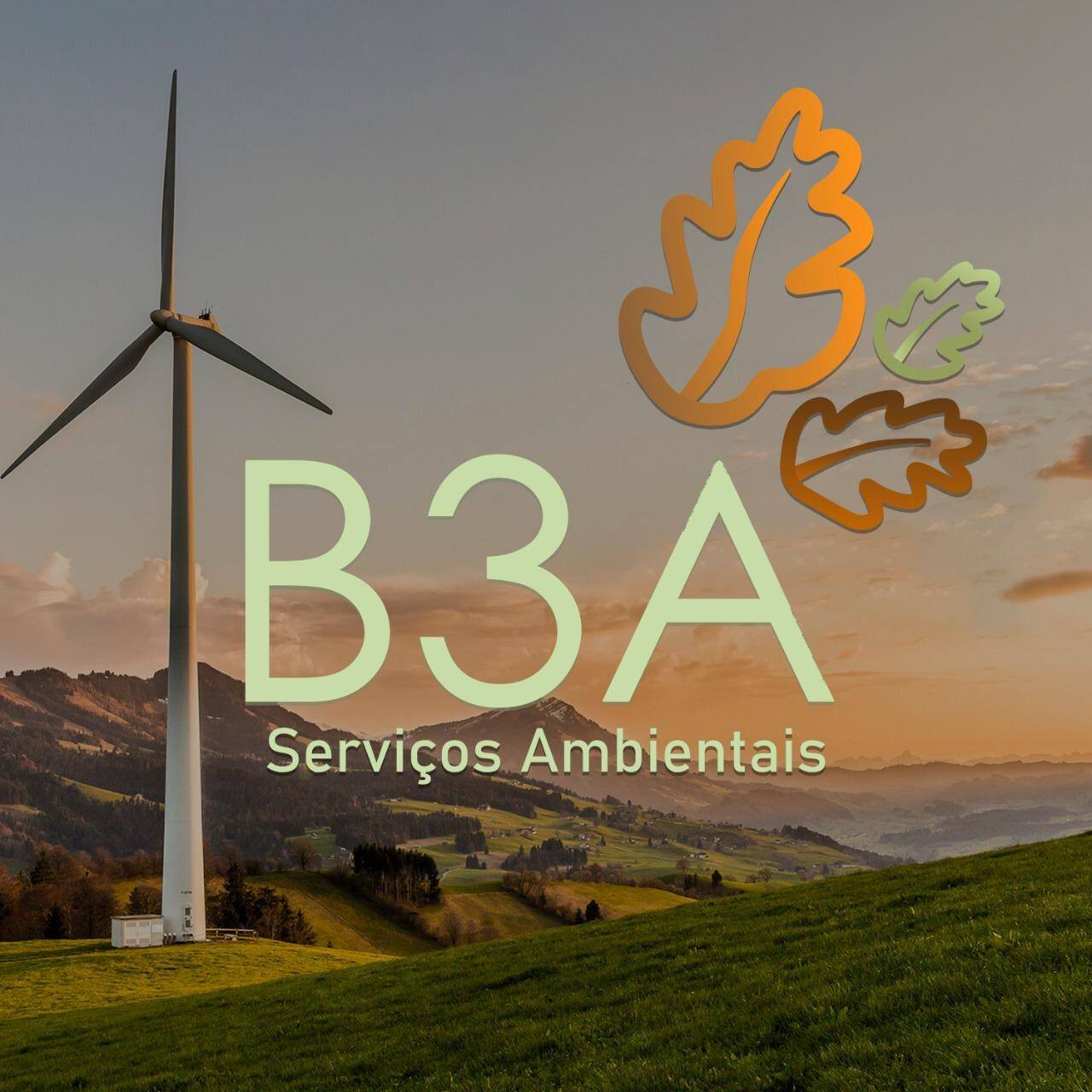 B3A Serviços Ambientais