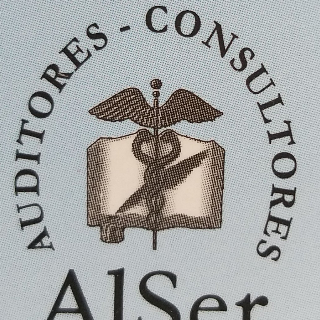 ALSER Auditores Consultores Servicos Profesionales Especializados ...