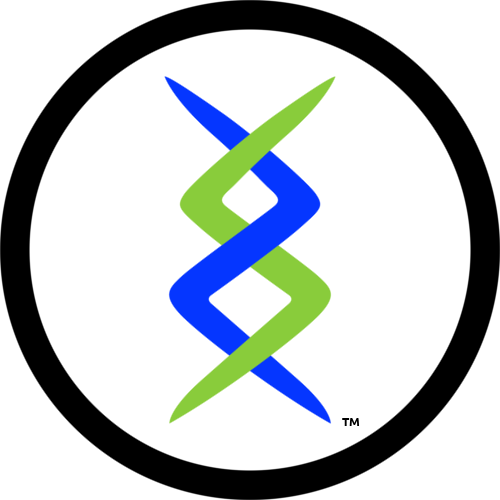 System Zing | Geneva NY
