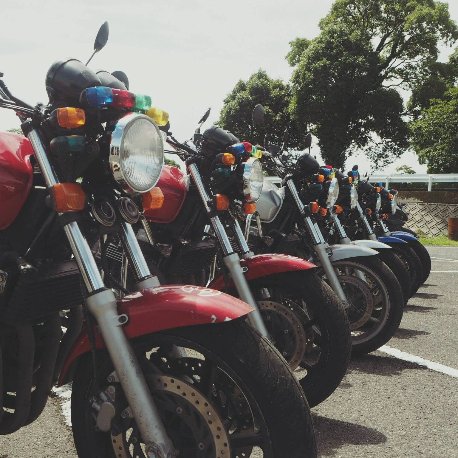 空港 自動車 学校