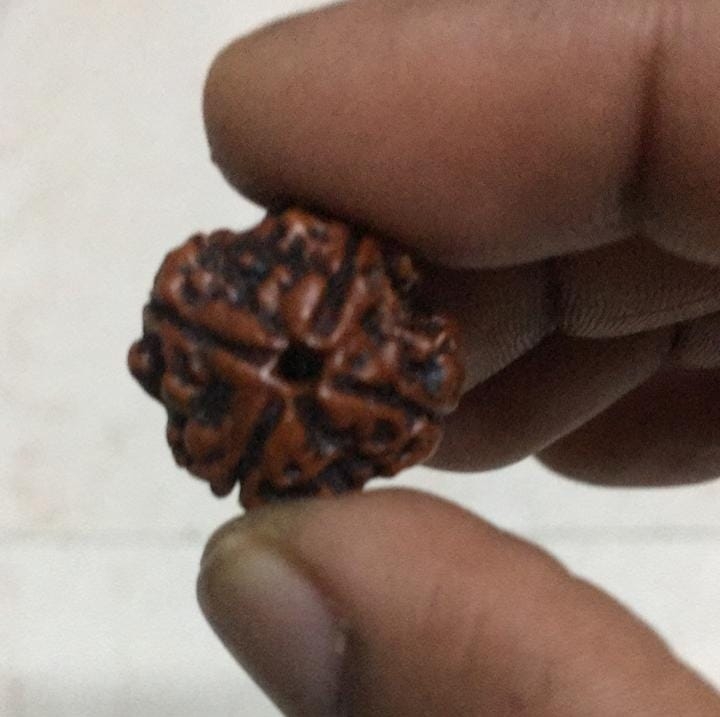 hara.rudraksha