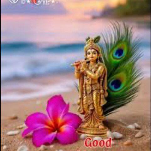 Anavil Samaj - AnavilToday.com