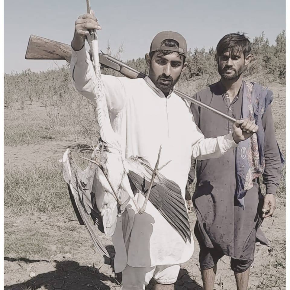 M S Khuhro