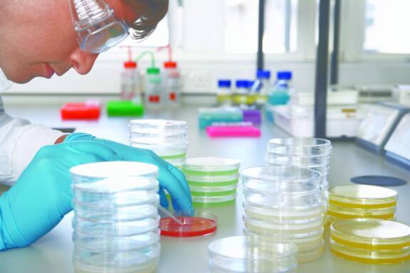 Microbiology - Two methods for performing antibiotic susceptibility ...