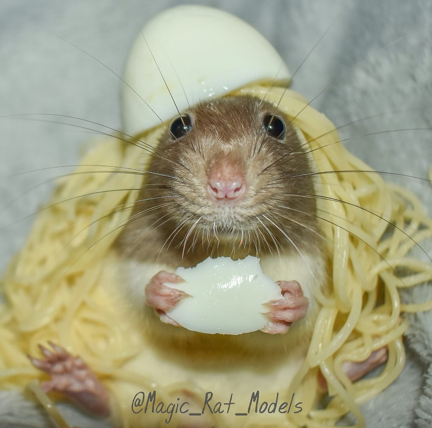 Magic Rat Models