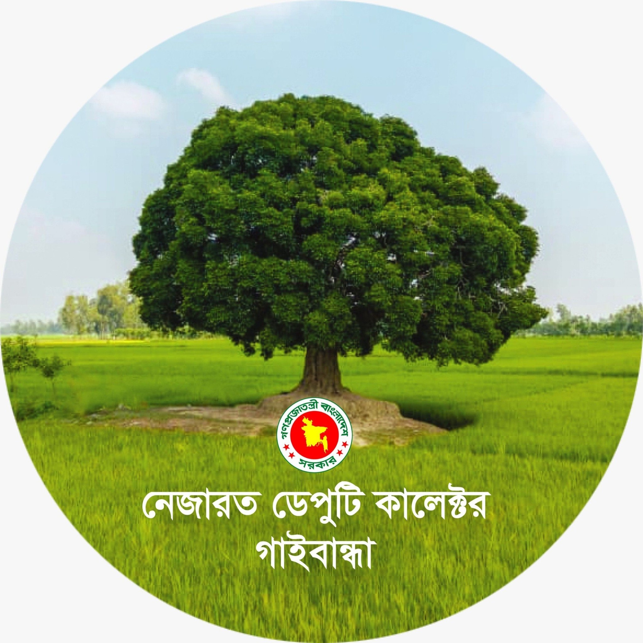 DC Gaibandha