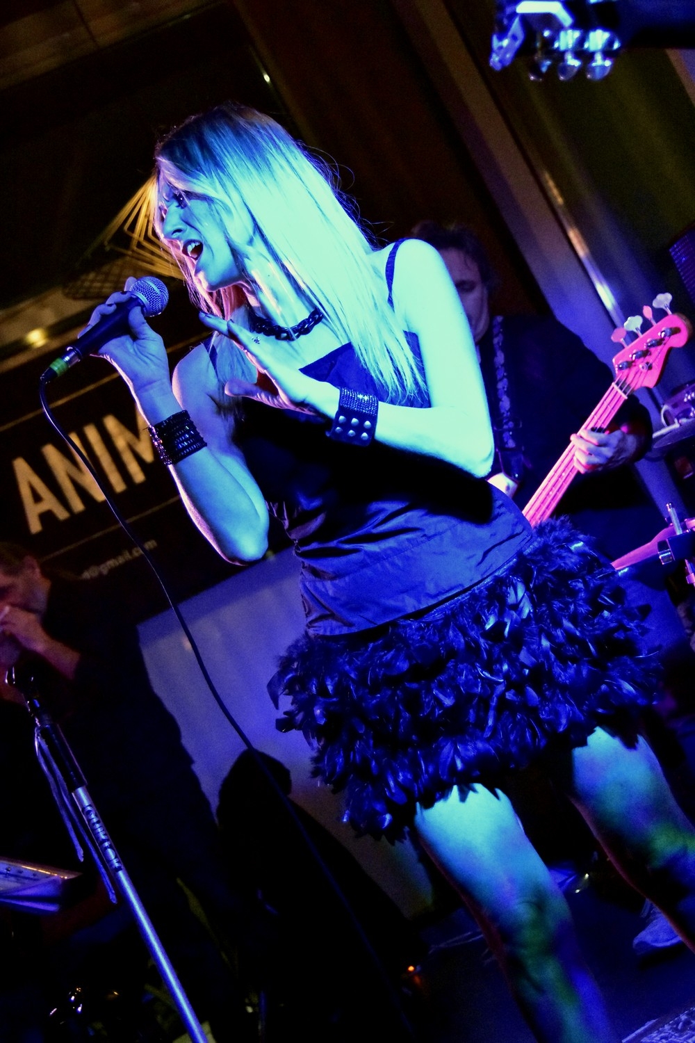 AnimaPop