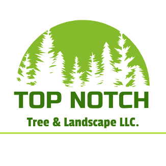 Top Notch Tree & Landscape | Knox County OH