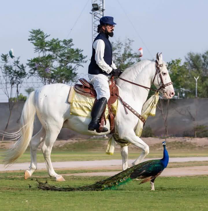 Muhammad Umar RK