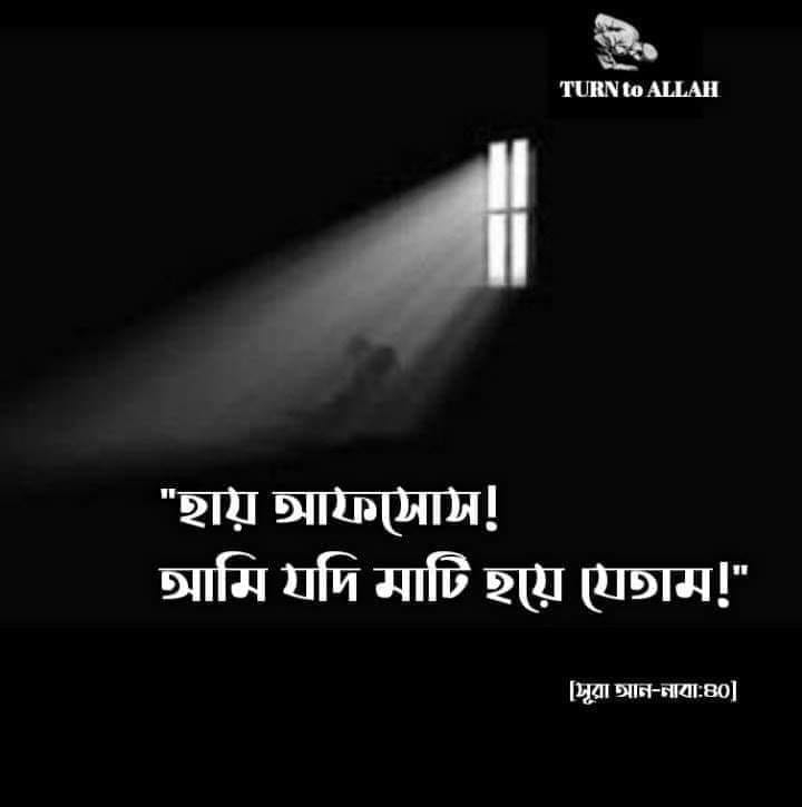 Md Rihan Islam