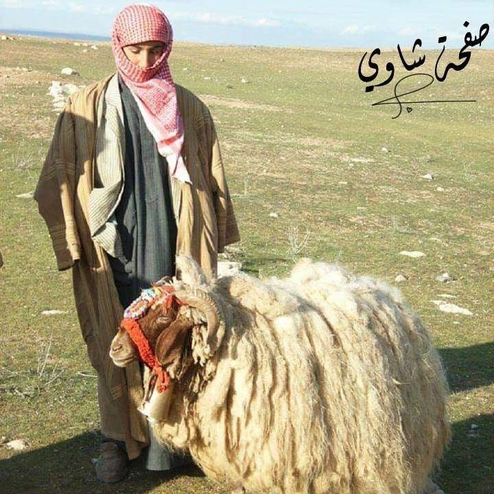 شاوي الشاعر محسن الهزاني تذكر الرواية أن شاعر الغزل الشهير محسن الهزاني وهو صغير ابعده ابوه عن االشعروالغزل خوفا عليه فكان يغلق عليه البيت وفي يوم من الأيام جاءت فتاه جميله لزيارة