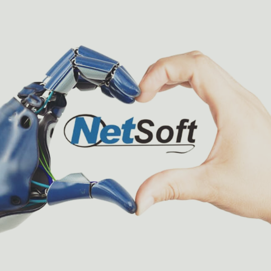 NetSoft - Sistema de Gestão | São Carlos SP