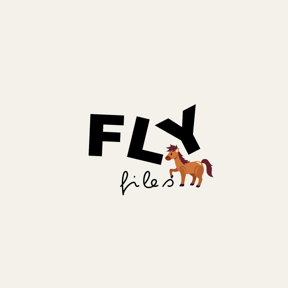 Flyfiles.Studio