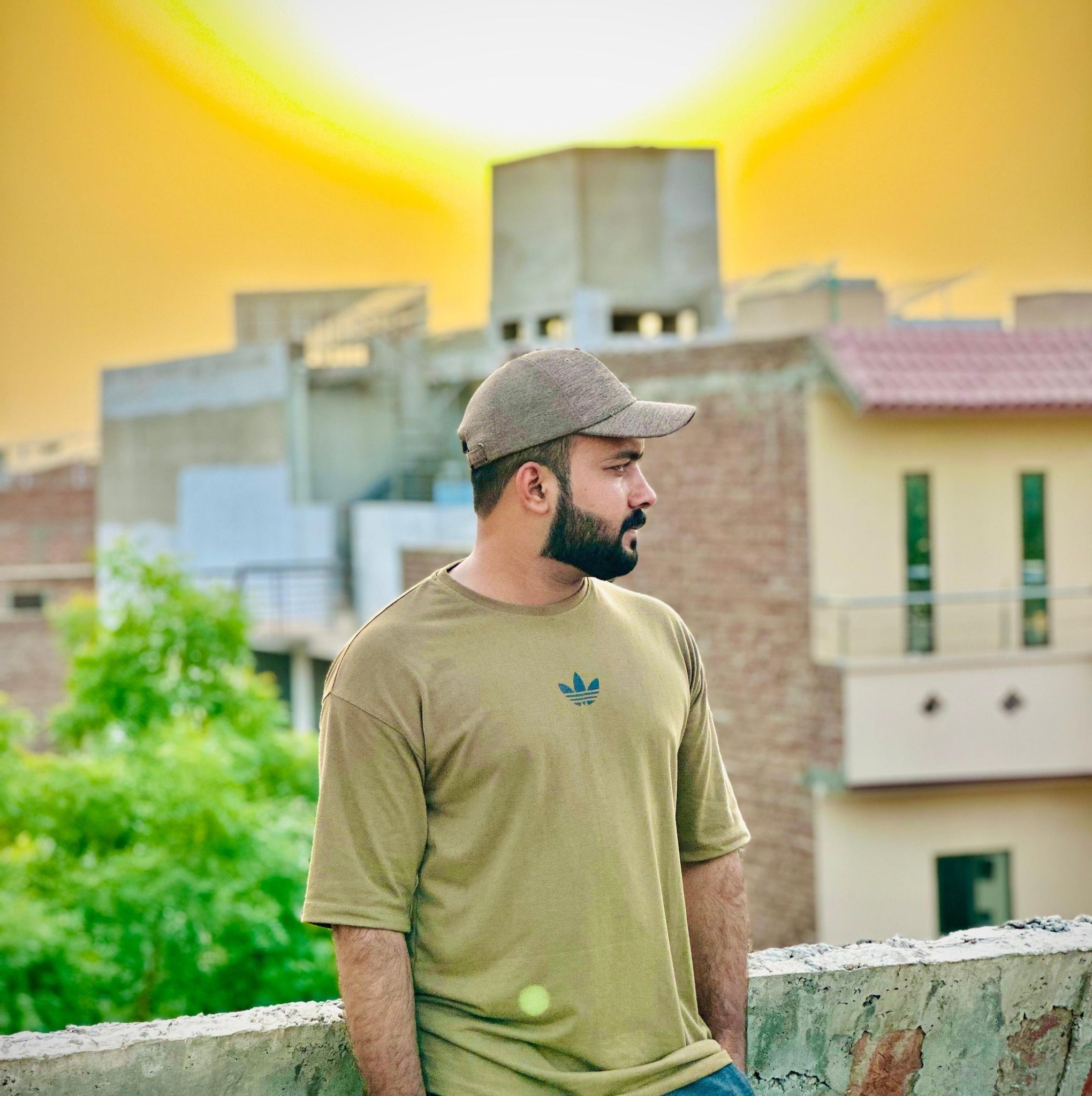 malik-shahbaz