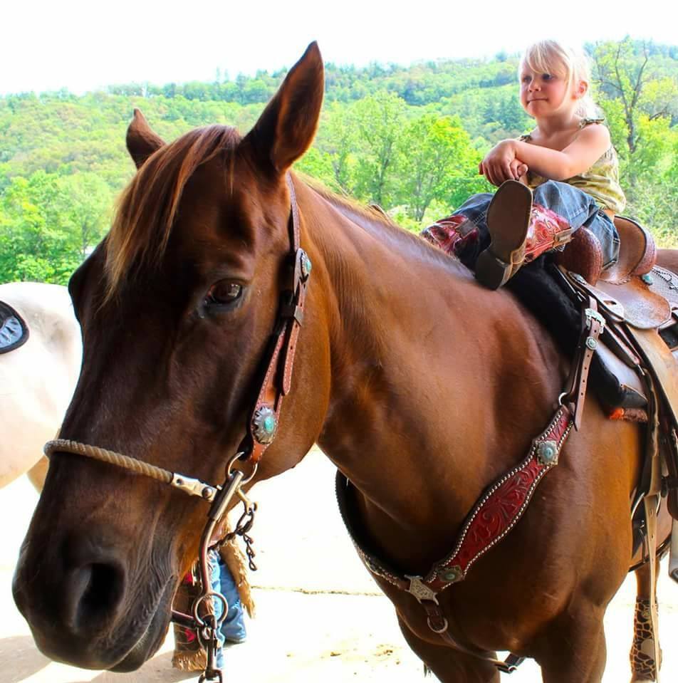 Working Hearts Ranch | Canby OR