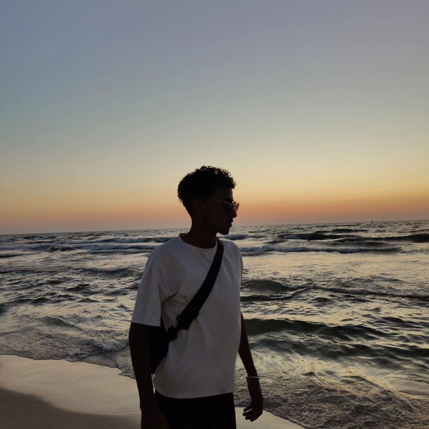 Ahmed M. Abbas