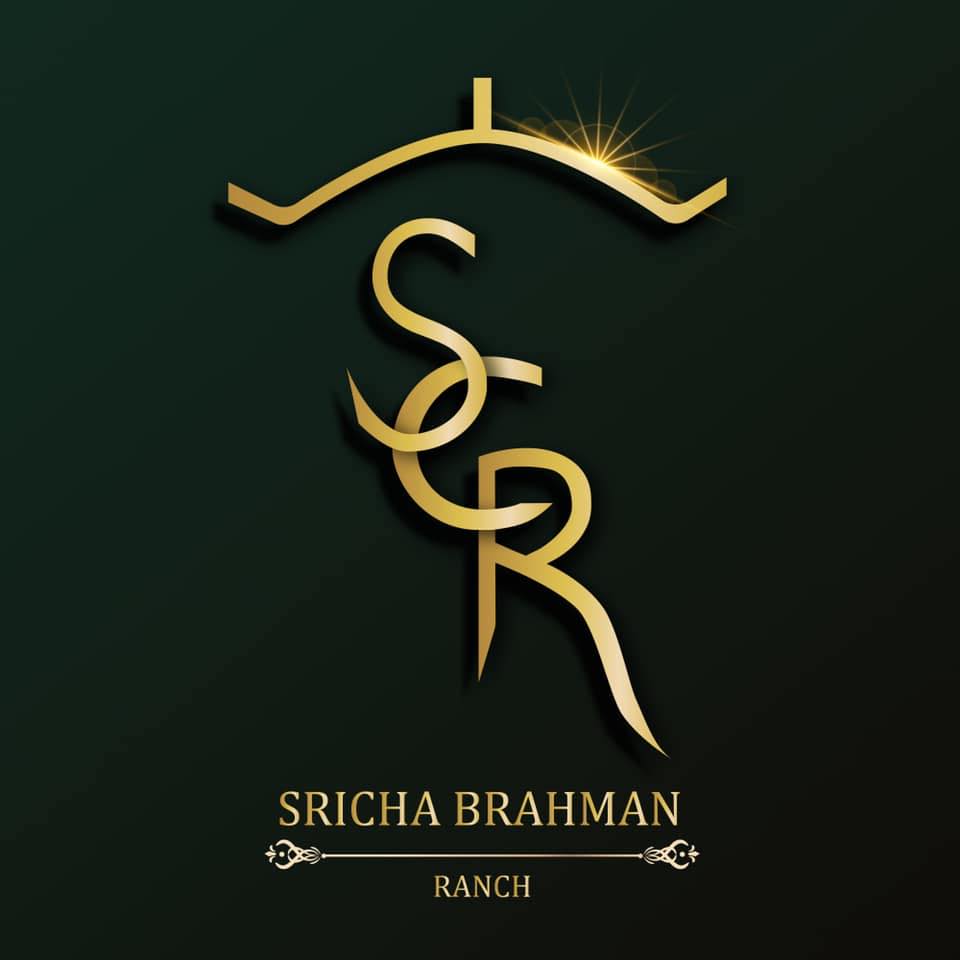 SCR : Sricha Brahman Ranch by.เฟริสท์