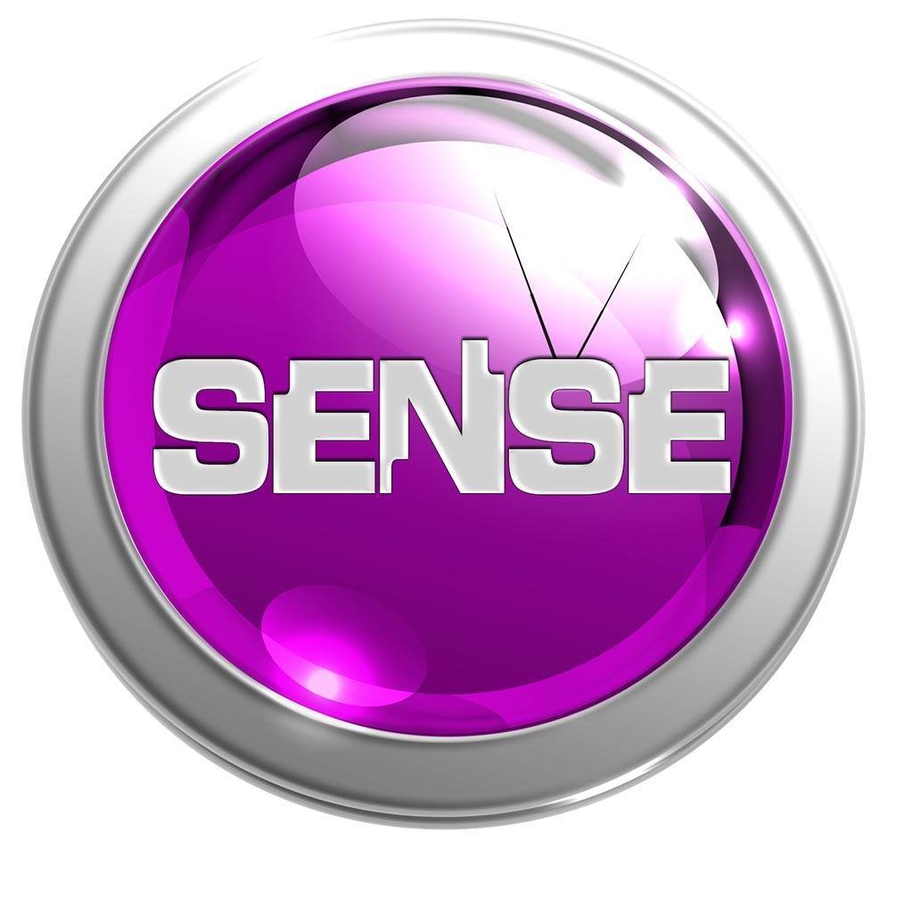 Younis - Chairman & Ceo Sense TV YOUNIS FILM DIRECTOR / PRODUCER After ...