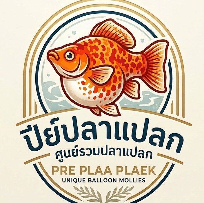 กระดาษมวน Raw - ลองครบทั้ง 4 แบบแล้วรึยัง?! Cr. Rawkandroll | Facebook
