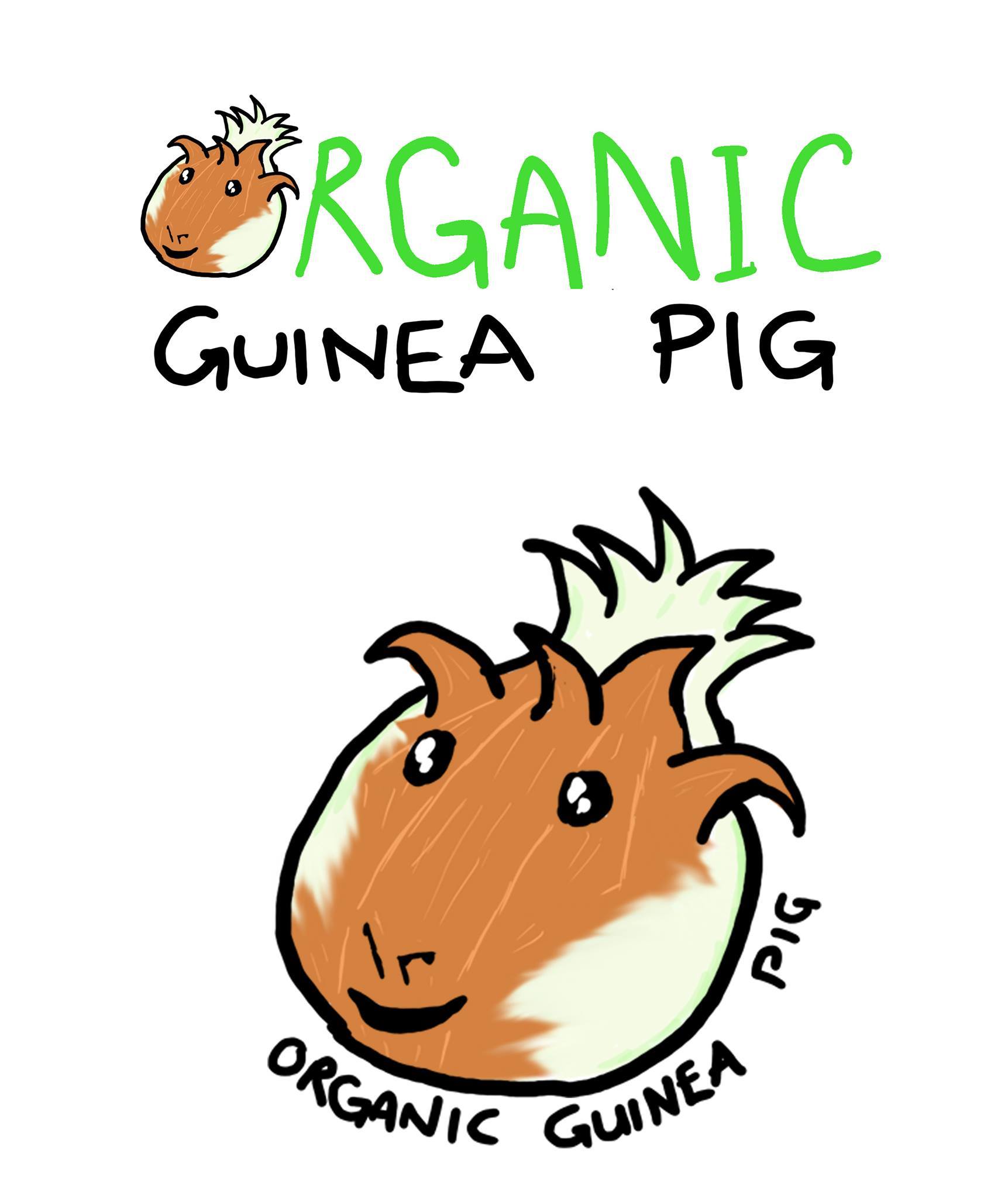Curated visual reference: Fresh Look at Organic Guinea Pig