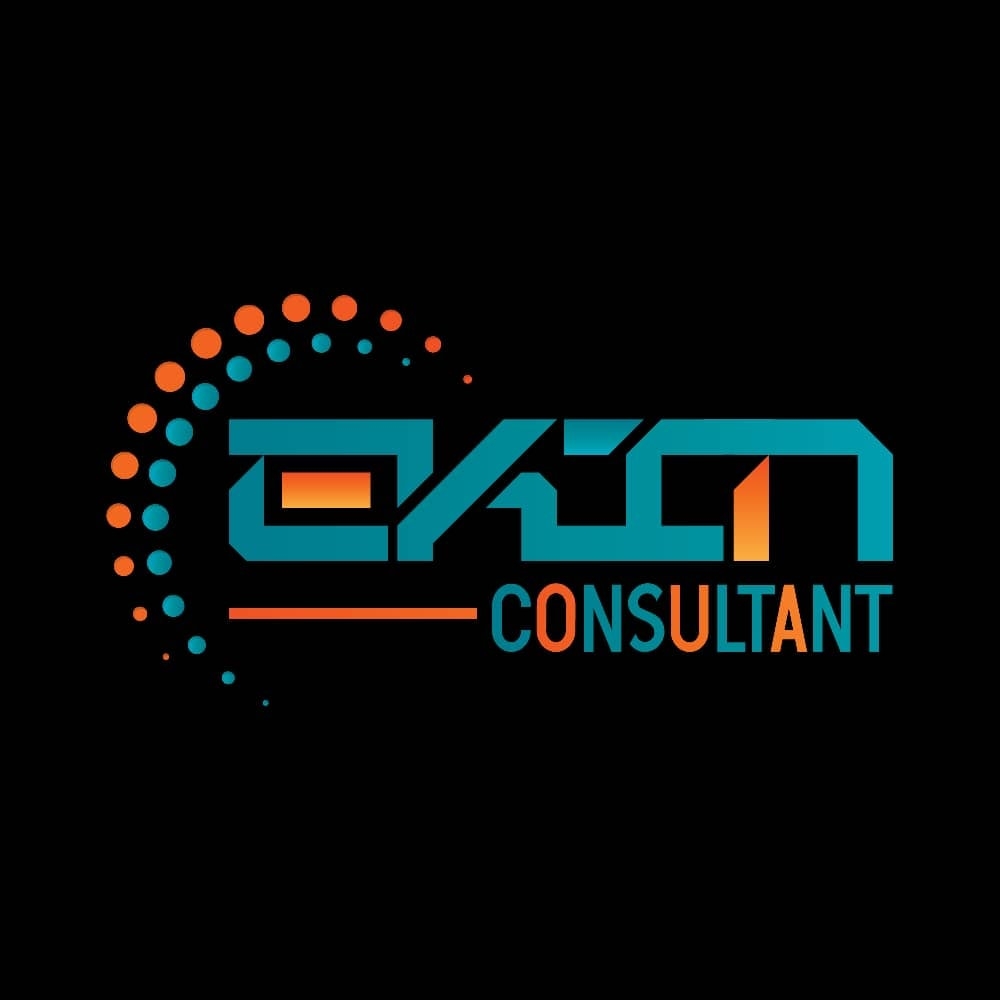 Ekin consultant agency