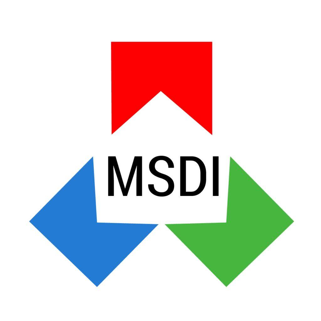MSDI Servicios