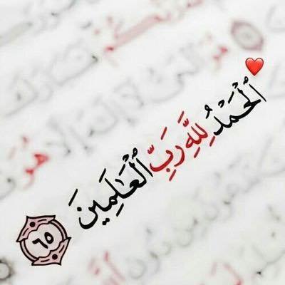 عالم التوريدات | محتاج شركات توريدات عمومية علي مستوي العاشر من رمضان ...