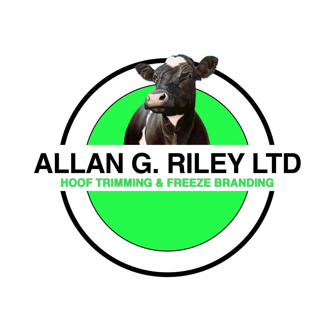 Allan G. Riley Hoof Trimming & Freeze Branding | Carnforth