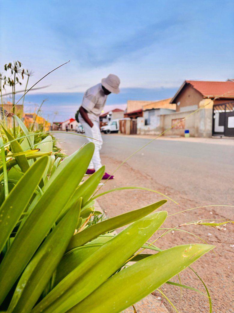 Bongani Msibi