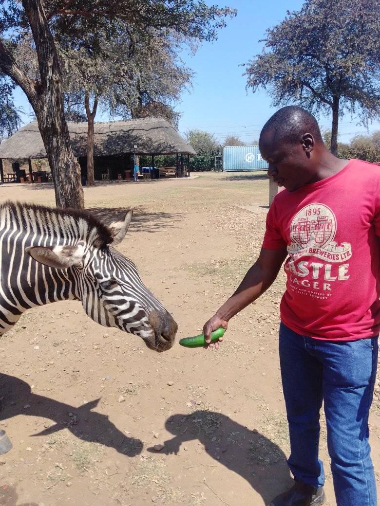 asi pamwe pacho Mai peter vane ma points #viralreelsシ #Zimbabwe # ...