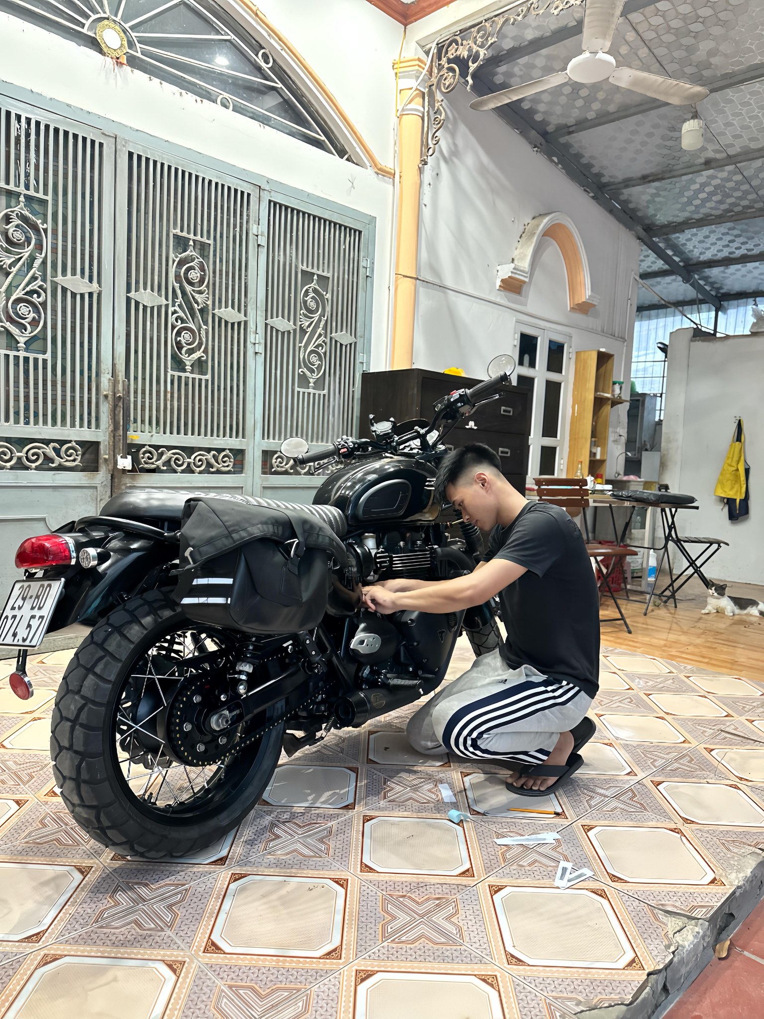 #triumph #SpeedTwin 900 ️‍🔥 Quá đẹp mọi người a!!! ☎️Lh: 0974.256.175 ...