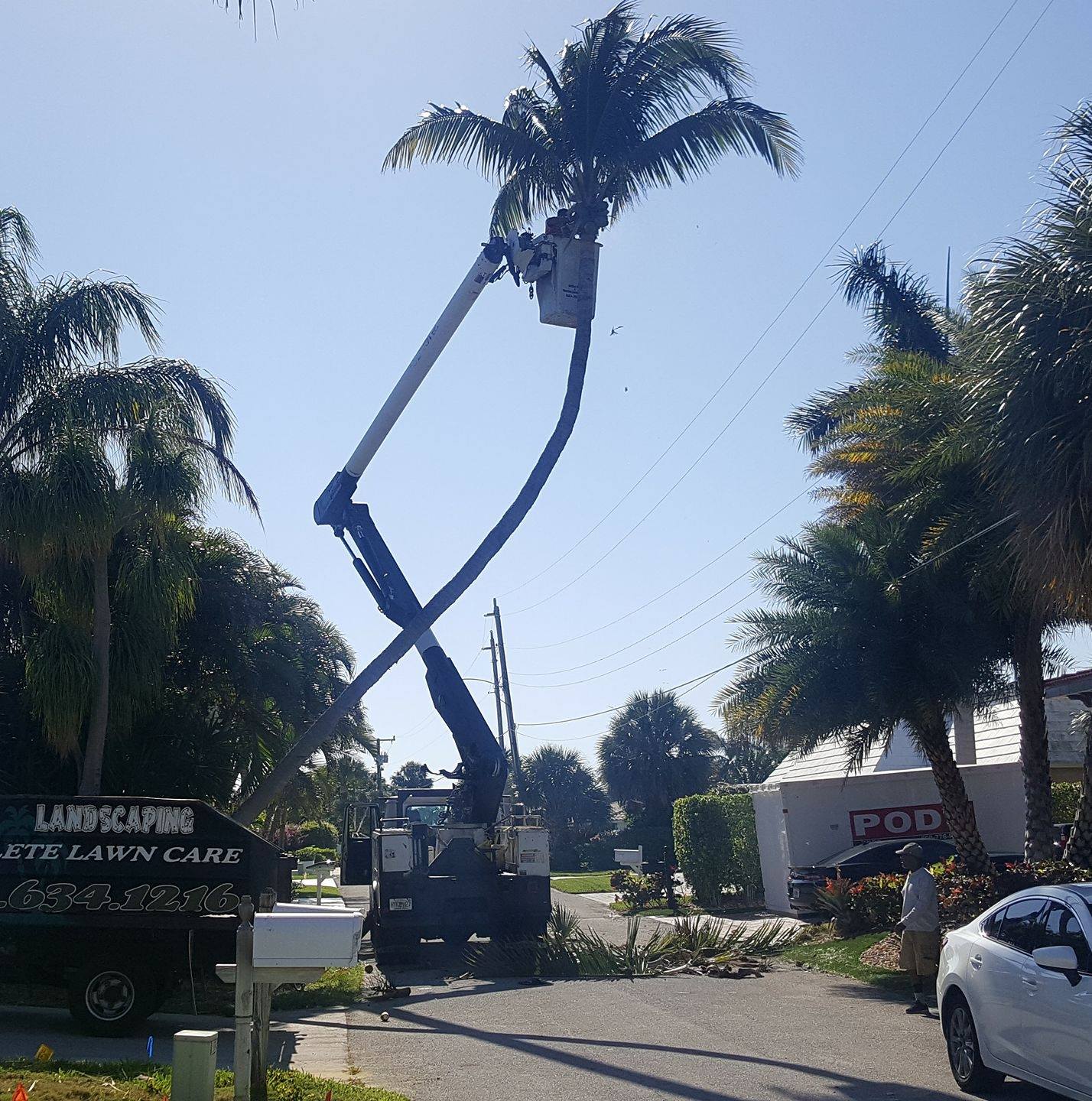 Pinnacle Lawn & Tree... - Pinnacle Lawn & Tree Service Inc