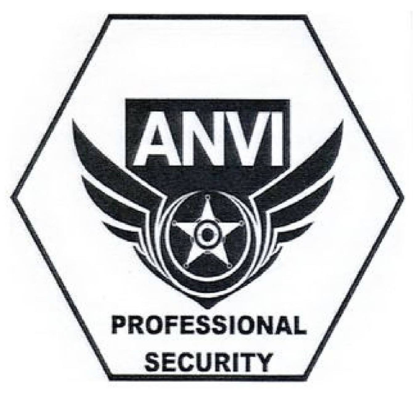 Anvi Professional Security | Botosani