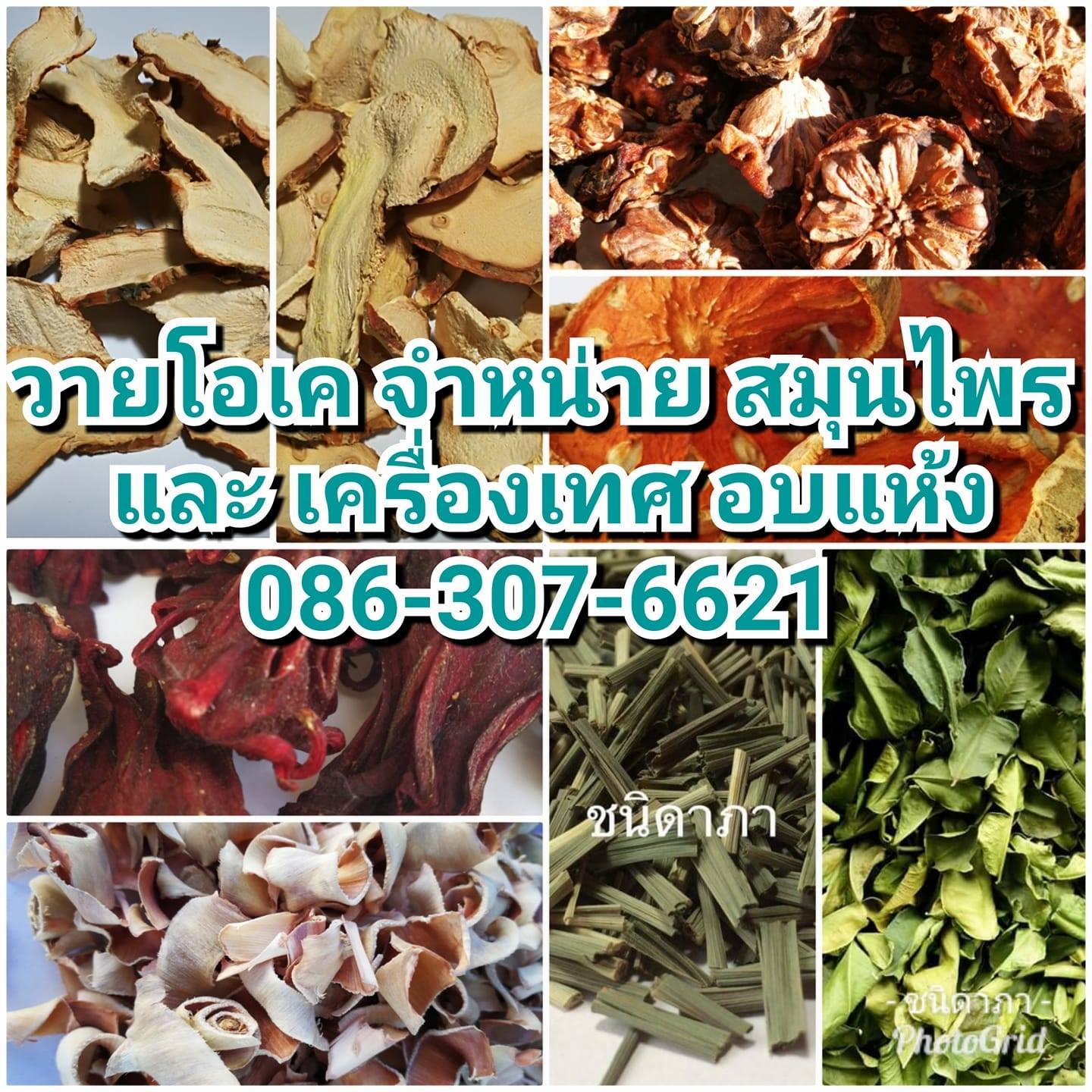 YOK อบ บด บรรจุ อย gmp/haccp codex halal สมุนไพร เครื่องเทศ