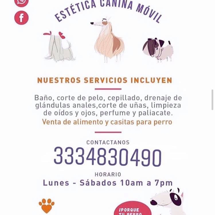 CombiPet.Can | Guadalajara