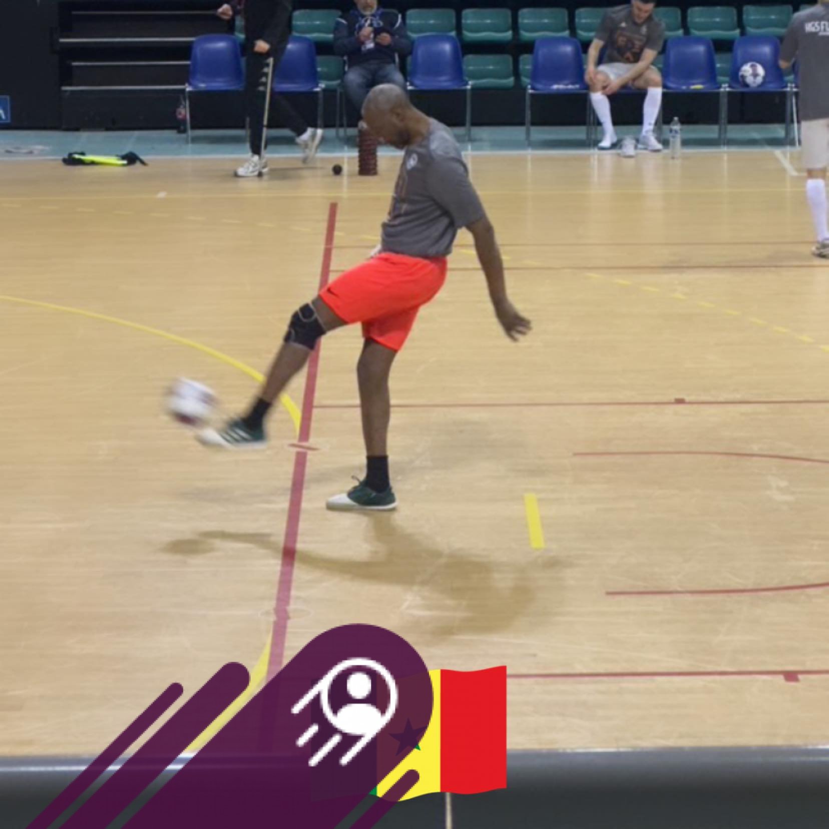 France-Futsal.com - 🔄 MERCATO🇨🇵| PLÉ À ROUBAIX Annonce officielle de la ...