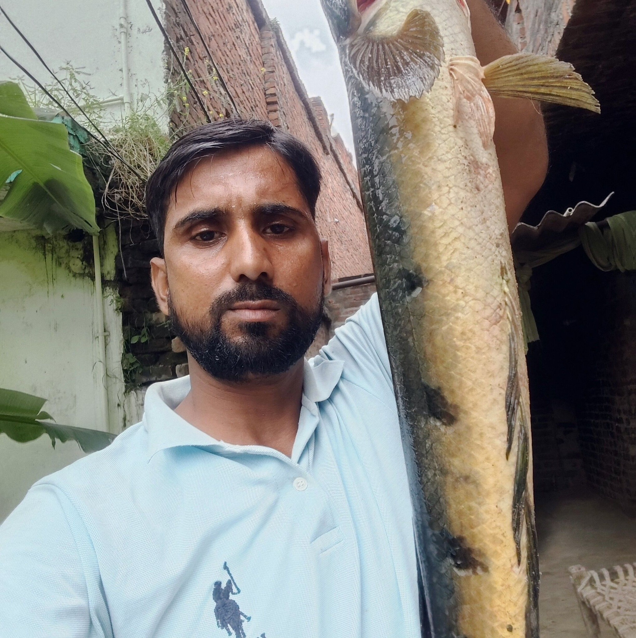 Shaukat Ali