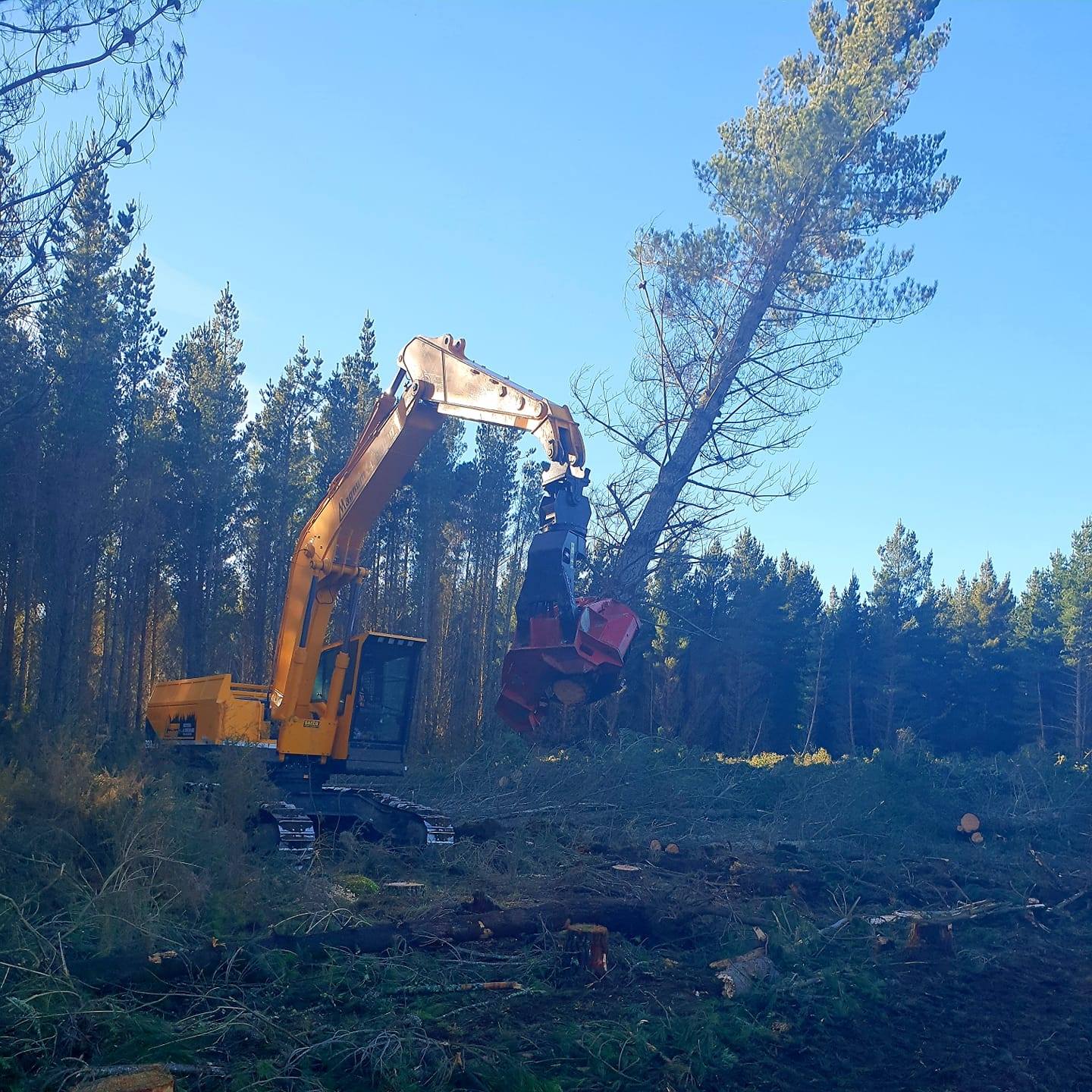 Magnum logging ltd | Invercargill