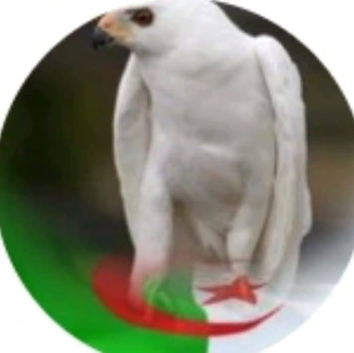 📌 قادة عرب يظهرون في صور مع جيفري... - Gulf Post- جلف بوست | Facebook