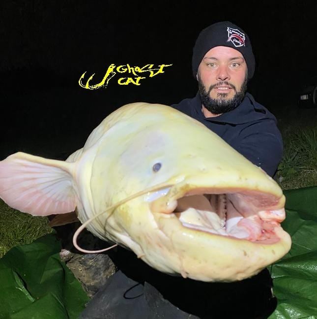 Luccio Gigante pescato sul lago Sibbo in Svezia #luccio #pike # ...