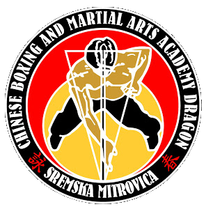 Profile for Ving Tsun Dragon Beograd