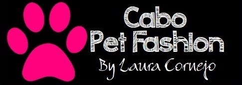 Cabo Pet Fashion