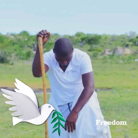 Netone Zimbabwe | My netone line is saying telephone charge is overdue ...