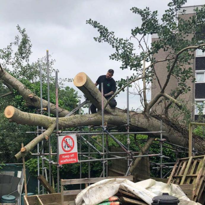 R&S Tree Care | Bitterne