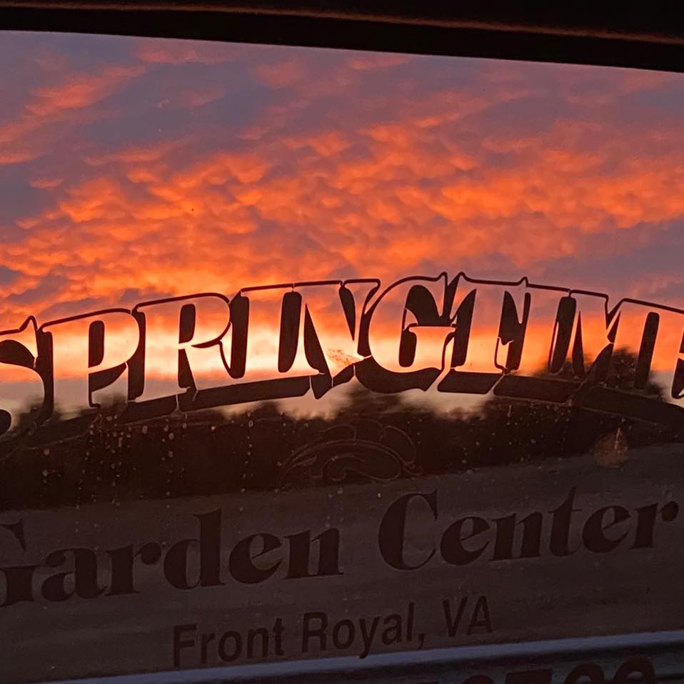 Springtime Garden Center | Front Royal VA