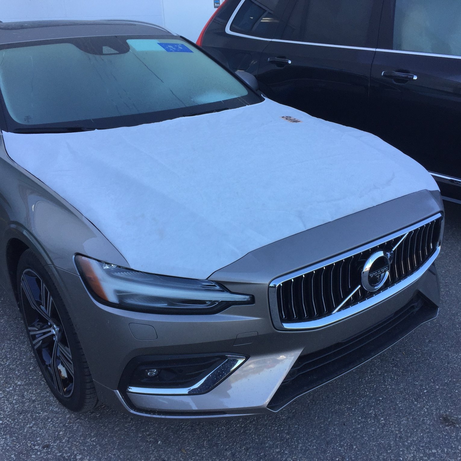 Hi all, I changed my boot/tailgate struts about 2 months ago (Triscan ...